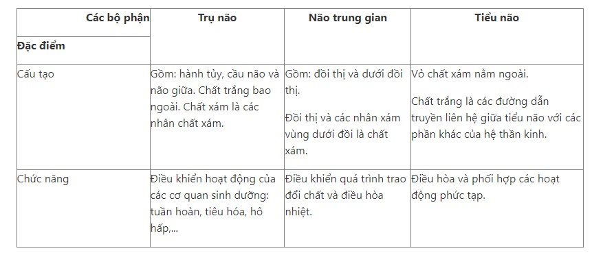 Lập bảng so s&aacute;nh cấu tạo v&agrave; chức năng trụ n&atilde;o, n&atilde;o trung gian v&agrave; tiểu n&atilde;o