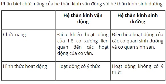 Ph&acirc;n biệt chức năng của hệ thần kinh vận động v&agrave; hệ thần kinh sinh dưỡng