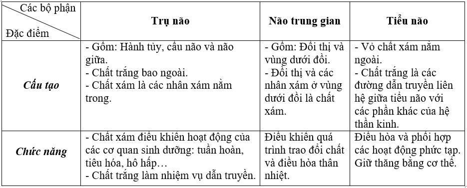 Lập bảng so s&aacute;nh cấu tạo v&agrave; chức năng trụ n&atilde;o, n&atilde;o trung gian v&agrave; tiểu n&atilde;o