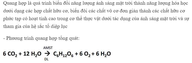 Quan s&aacute;t v&agrave; cho biết quang hợp l&agrave; g&igrave;?