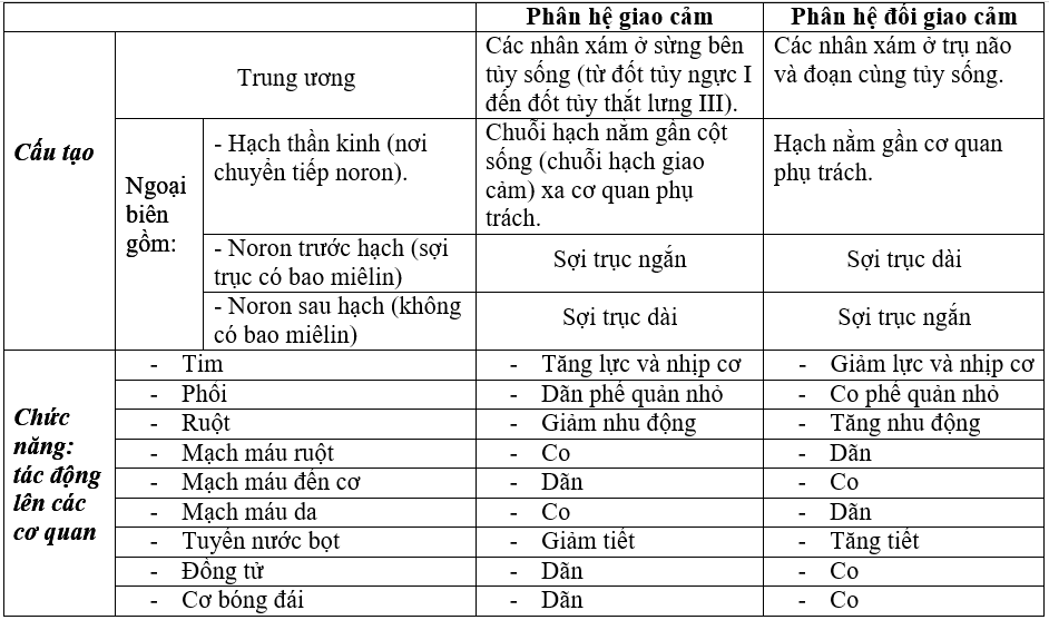Tr&igrave;nh b&agrave;y sự giống nhau v&agrave; kh&aacute;c nhau về mặt cấu tr&uacute;c v&agrave; chức năng giữa hai ph&acirc;n hệ giao cảm v&agrave; đối giao cảm trong hệ thần kinh sinh dưỡng