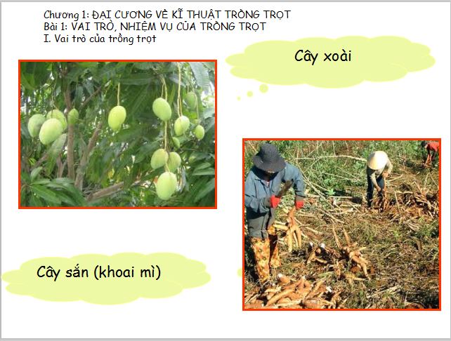 Giáo án PowerPoint lớp 7 môn Công nghệ