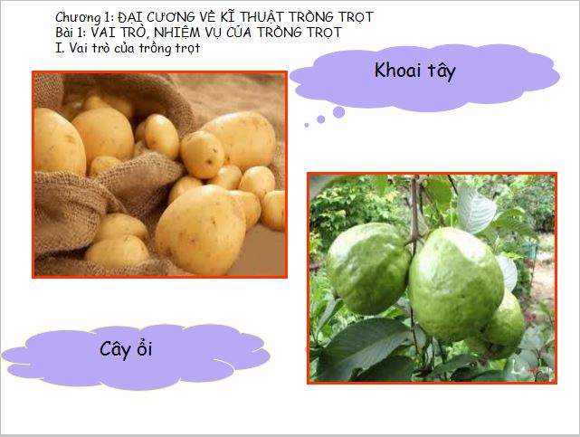 Giáo án PowerPoint lớp 7 môn Công nghệ