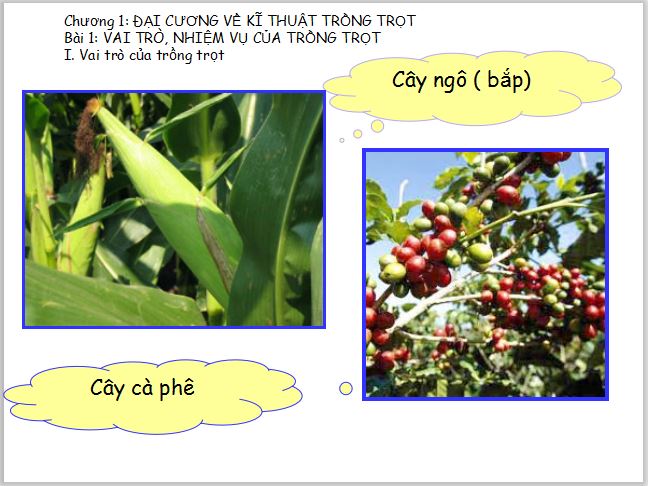 Giáo án PowerPoint lớp 7 môn Công nghệ