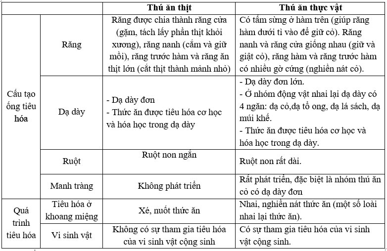 N&ecirc;u sự kh&aacute;c nhau về cấu tạo ống ti&ecirc;u h&oacute;a v&agrave; qu&aacute; tr&igrave;nh ti&ecirc;u h&oacute;a thức ăn