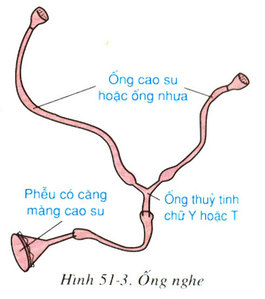 Bài 4 (trang 165 sgk Sinh học 8)