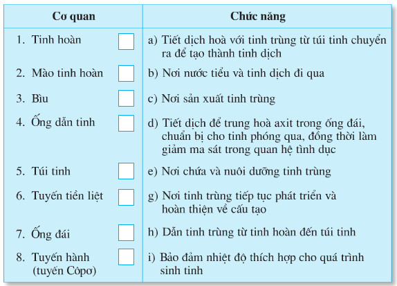 Chức năng của mỗi bộ phận trong cơ quan sinh dục nam