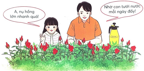 Bài 2: Thời khóa biểu