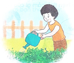 Bài 2: Thời gian biểu