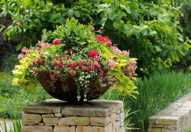 khu vuon dep 1*313764