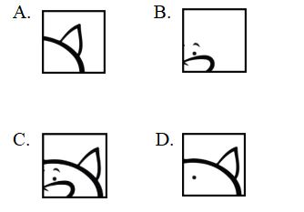 Toán lớp 2 Cánh Diều