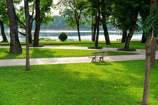 Dàn ý tả cảnh công viên