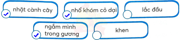Bài 5: Em có xinh không