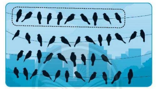 Giải vở bài tập Toán lớp 2 trang 11, 12