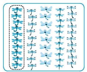 Giải vở bài tập Toán lớp 2 trang 11, 12