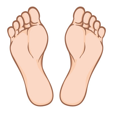 Đề thi Tiếng Anh lớp 2 giữa học kì 1 sách Cánh Diều - Đề 1