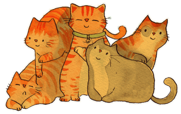 Phiếu bài tập cuối tuần Tiếng Anh lớp 2 sách Chân trời sáng tạo - Tuần 3