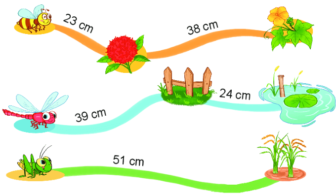 Bài 2 trang 81 SGK Toán lớp 2