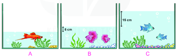 Bài 4 trang 82 SGK Toán lớp 2