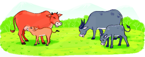 Bài 2 trang 80 SGK Toán lớp 2