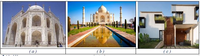 Bài tập hình có trục đối xứng