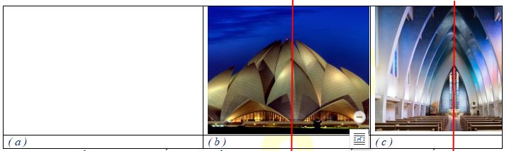 Bài tập hình có trục đối xứng