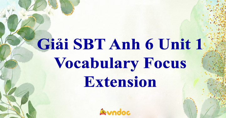 Giải Anh 6 Unit 1 Vocabulary Focus Extension SBT - Tiếng Anh 6 Explore ...