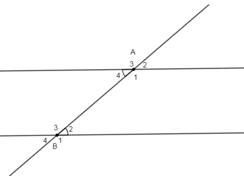Bài 22 trang 89 SGK Toán 7 tập 1