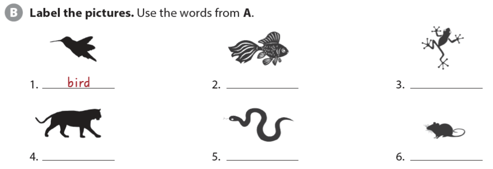 Giải Anh 6 Unit 2 Vocabulary Focus SBT