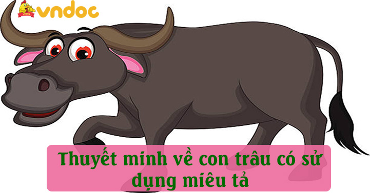 Thuyết minh về con trâu có sử dụng miêu tả
