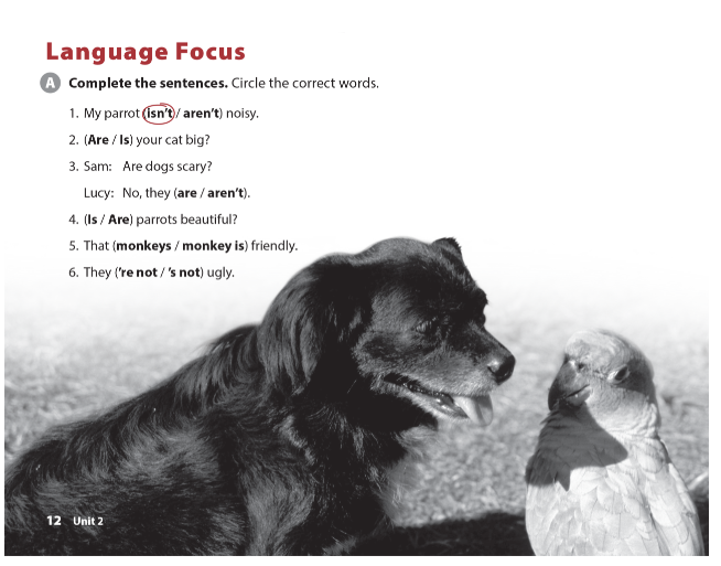 Giải Anh 6 Unit 2 Language Focus SBT