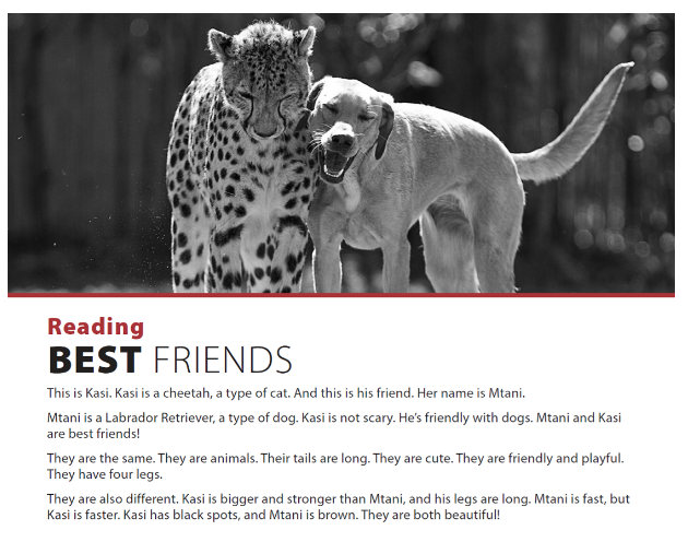 Giải Anh 6 Unit 2 Reading SBT