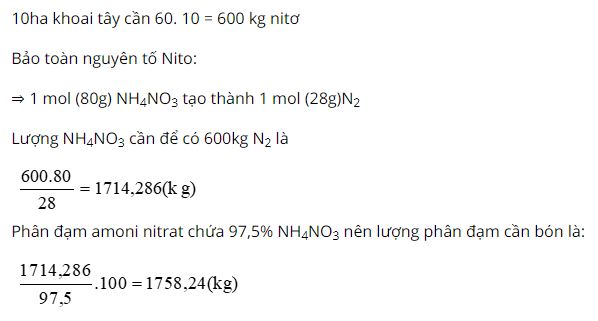 Cần b&oacute;n bao nhi&ecirc;u kilogam ph&acirc;n đạm amoni nitrat chứa 97,5% NH4NO3 cho 10,0 hecta khoai t&acirc;y