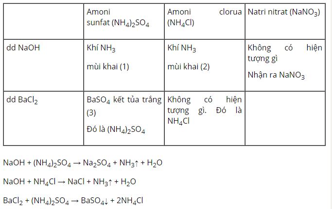 H&atilde;y d&ugrave;ng c&aacute;c thuốc thử th&iacute;ch hợp để ph&acirc;n biệt c&aacute;c mẫu ph&acirc;n đạm