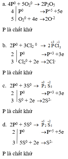 Lập phương tr&igrave;nh h&oacute;a học v&agrave; cho biết P c&oacute; t&iacute;nh khử hay t&iacute;nh oxi h&oacute;a
