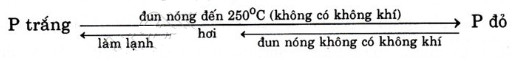 N&ecirc;u những điểm kh&aacute;c nhau về t&iacute;nh chất vật l&iacute; giữa P trắng v&agrave; P đỏ