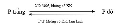 N&ecirc;u những điểm kh&aacute;c nhau về t&iacute;nh chất vật l&iacute; giữa P trắng v&agrave; P đỏ