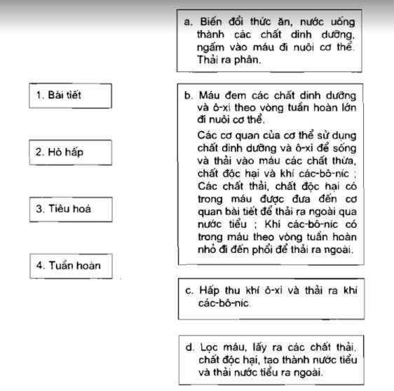 VBT Toán lớp 4 bài 3
