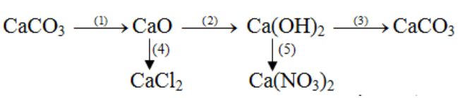 Bài 1 Trang 30 SGK hóa 9