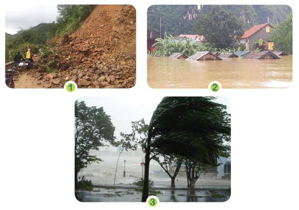 Hoạt động trải nghiệm hướng nghiệp 6