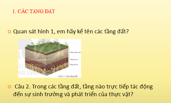 Bài giảng địa lý lớp 6