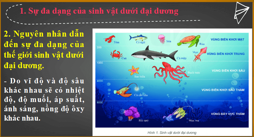 Bài giảng điện tử môn Địa lý