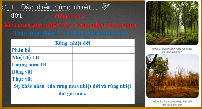 Bài giảng địa lý lớp 6