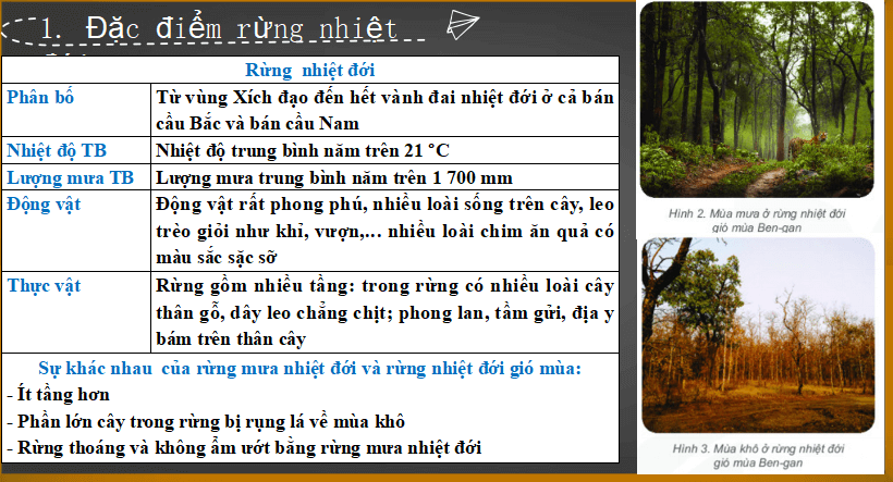 Bài giảng địa lý lớp 6