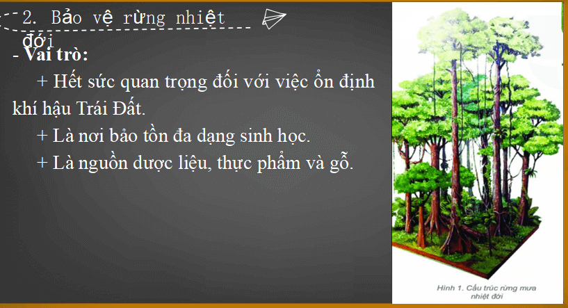Bài giảng địa lý lớp 6