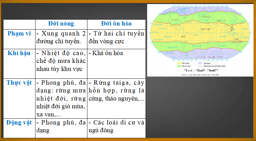 Bài giảng môn Địa lý lớp 6