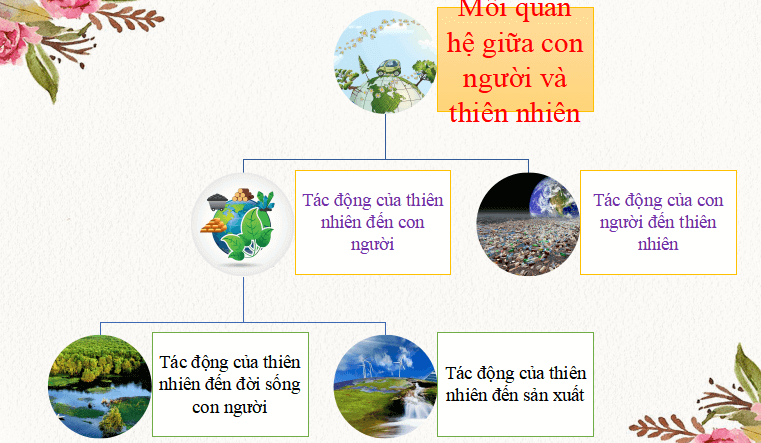 Bài giảng địa lý lớp 6