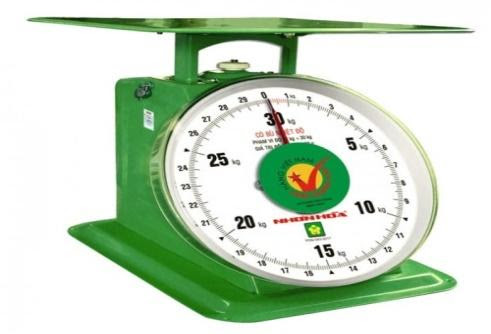 Đề thi giữa kì 1 Khoa học lớp 6 Chân trời sáng tạo