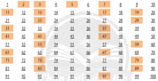 Giải Toán lớp 6 bài 11 Chân trời sáng tạo