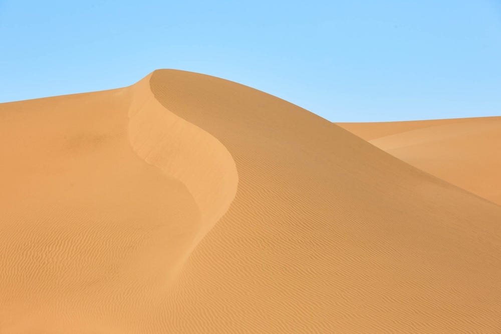 Trắc nghiệm từ vựng Unit 3 lớp 2: At the seaside